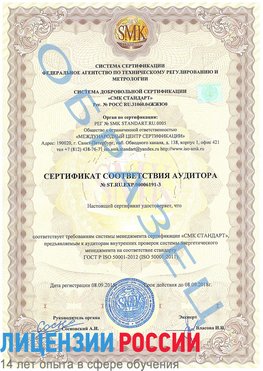 Образец сертификата соответствия аудитора №ST.RU.EXP.00006191-3 Каменск-Уральский Сертификат ISO 50001