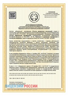 Приложение к сертификату для ИП Каменск-Уральский Сертификат СТО 03.080.02033720.1-2020